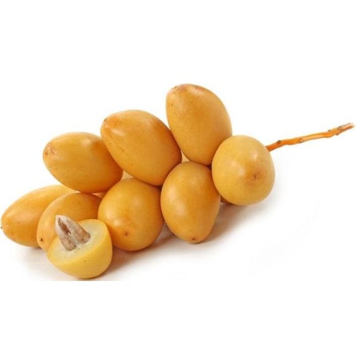 

Obat Herbal KURMA MUDA SEGAR- FRESH - KURMA RUTHAB SEGAR- kurma kuning dan merah OB920