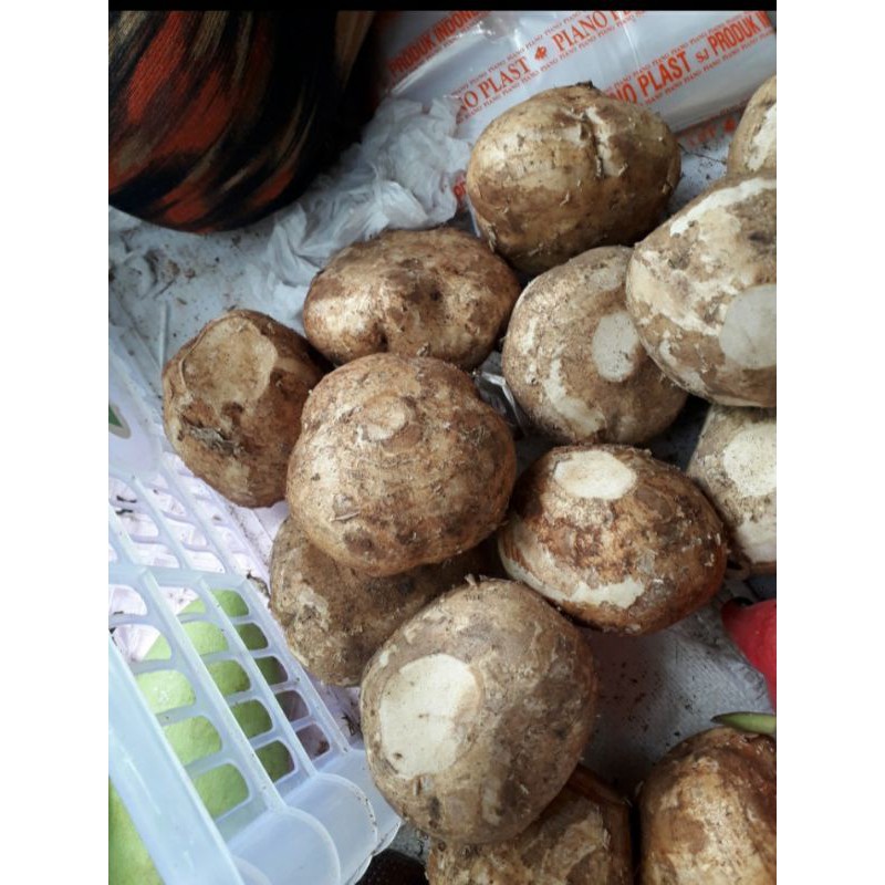 

bengkoang/1kg