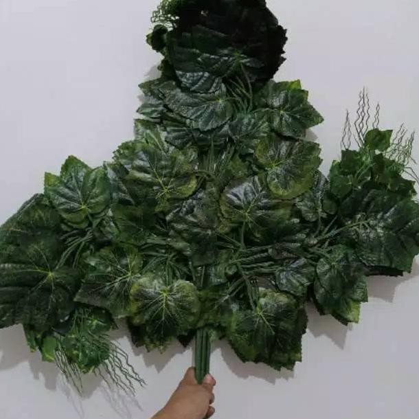 

DAUN ANGGUR HIJAU TUA (Harga Perlusin)