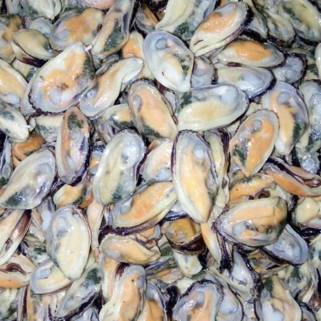 

kerang hijau daging kupas fresh seafood