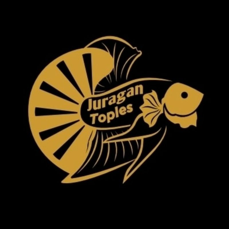 jurangan toples cupang & progres anakan louhan kamfa  4liter uk 20x15x15