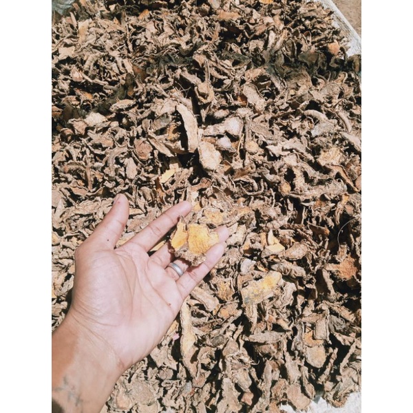 

kunyit kering asli lereng gunung wilis