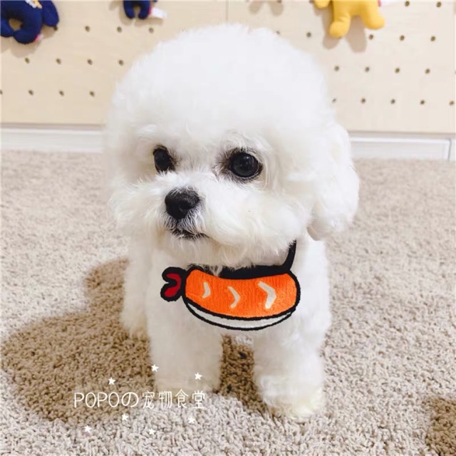 Pet 3D bib sushi