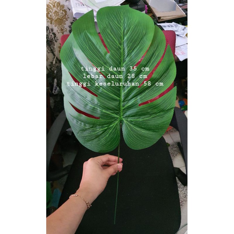 Daun Monstera Jumbo tinggi 58 cm / Daun Philodendron Jumbo