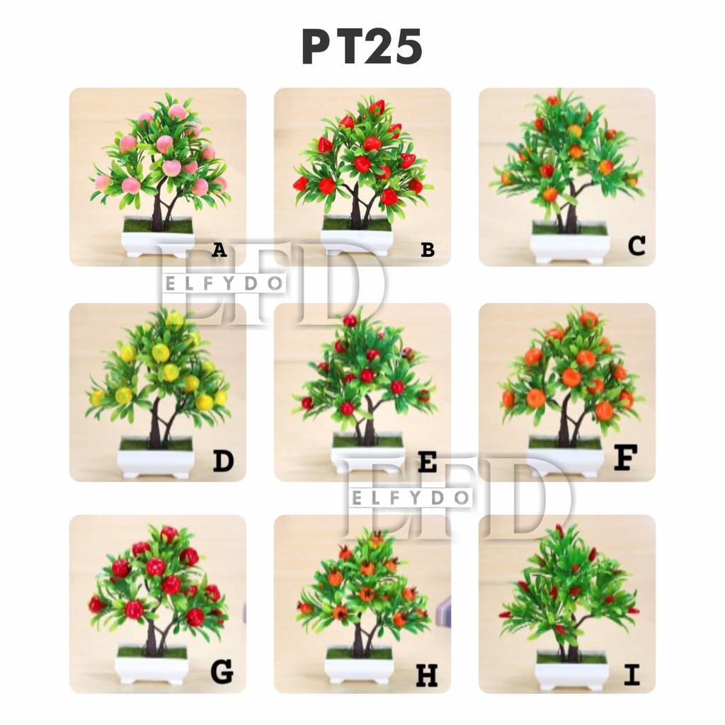 ELFYDO -  PT25 Pot Tanaman Buah - Bunga Dekorasi Rumah Tanaman Hias Plastik  - Ornamen