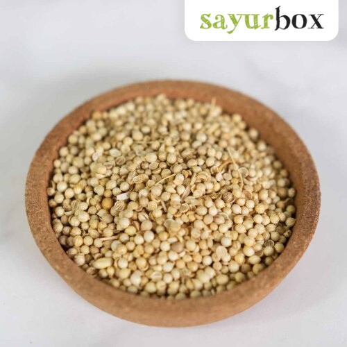 

Mevsmarketcirebon Biji Ketumbar Conventional 100 gram *BISA INSTANT DELIVERY*