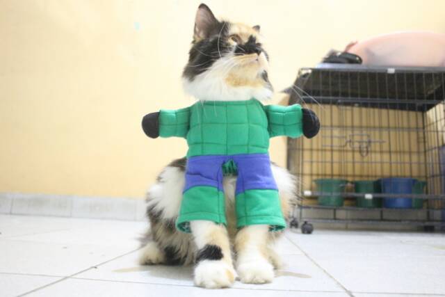 Kostum hulk untuk kucing / kostum pesta atau lomba kucing murah meriah