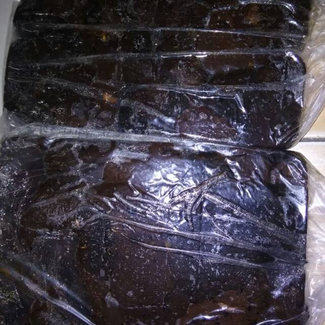 

Propolis lebah trigona mentah asli 1kg