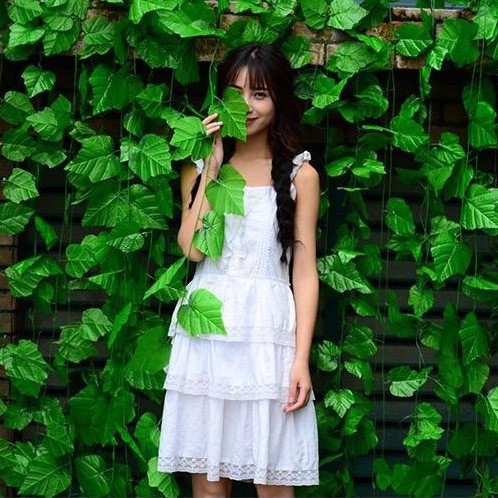 Grosir - 1012 Daun Hias Imitasi / Daun Rambat Palsu / Sulur Daun / Daun Hias Tanaman Gantung / Dekorasi Ruangan