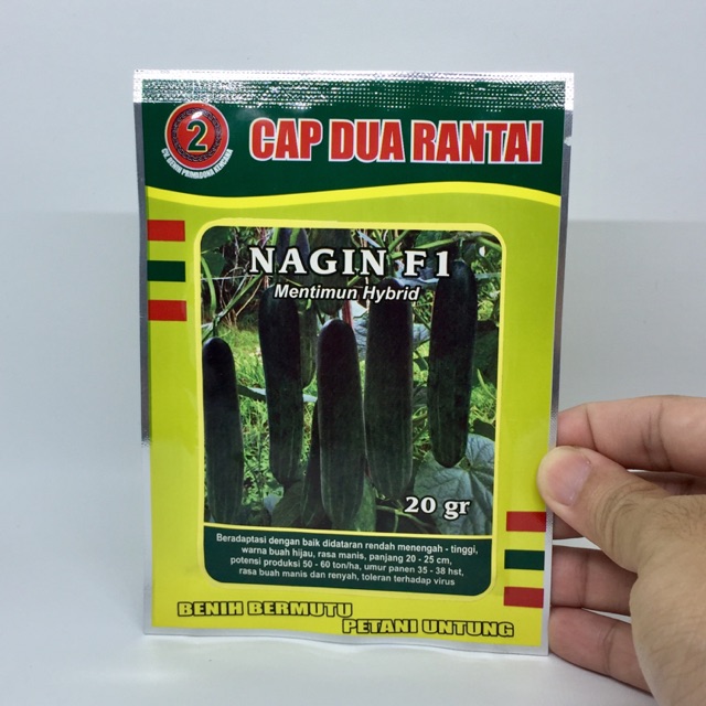 Nagin F1 Bibit Mentimun