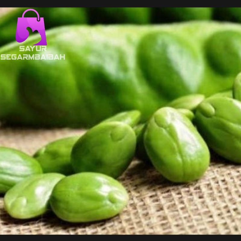 

pete segar/petai segar/sayursegar