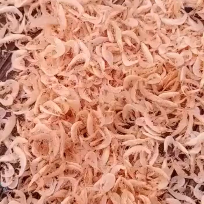 

Udang Rebon Asin 250gr