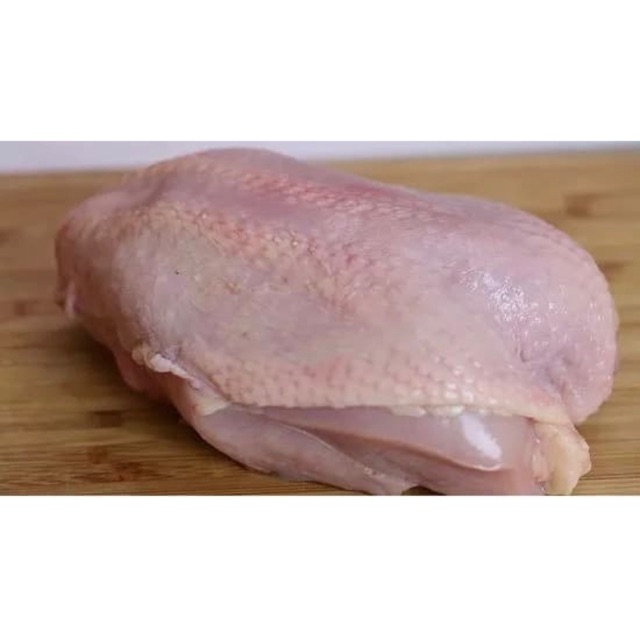 

Dada ayam / ayam potong segar