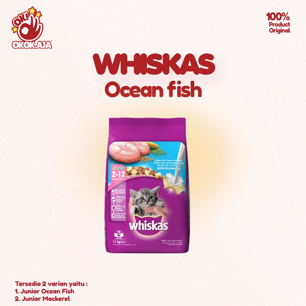 Makanan Kucing kering premium murah WHISKAS JUNIOR Freshpack 1,1kg