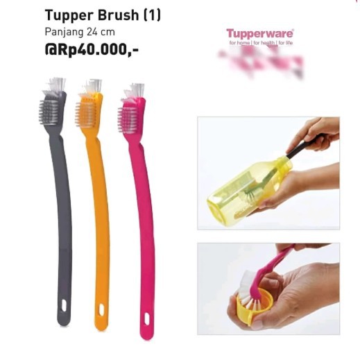 

Tupper Brush (1)