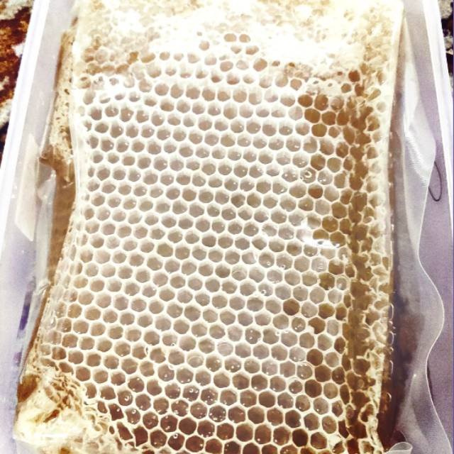 

Madu Sarang Melifera Original