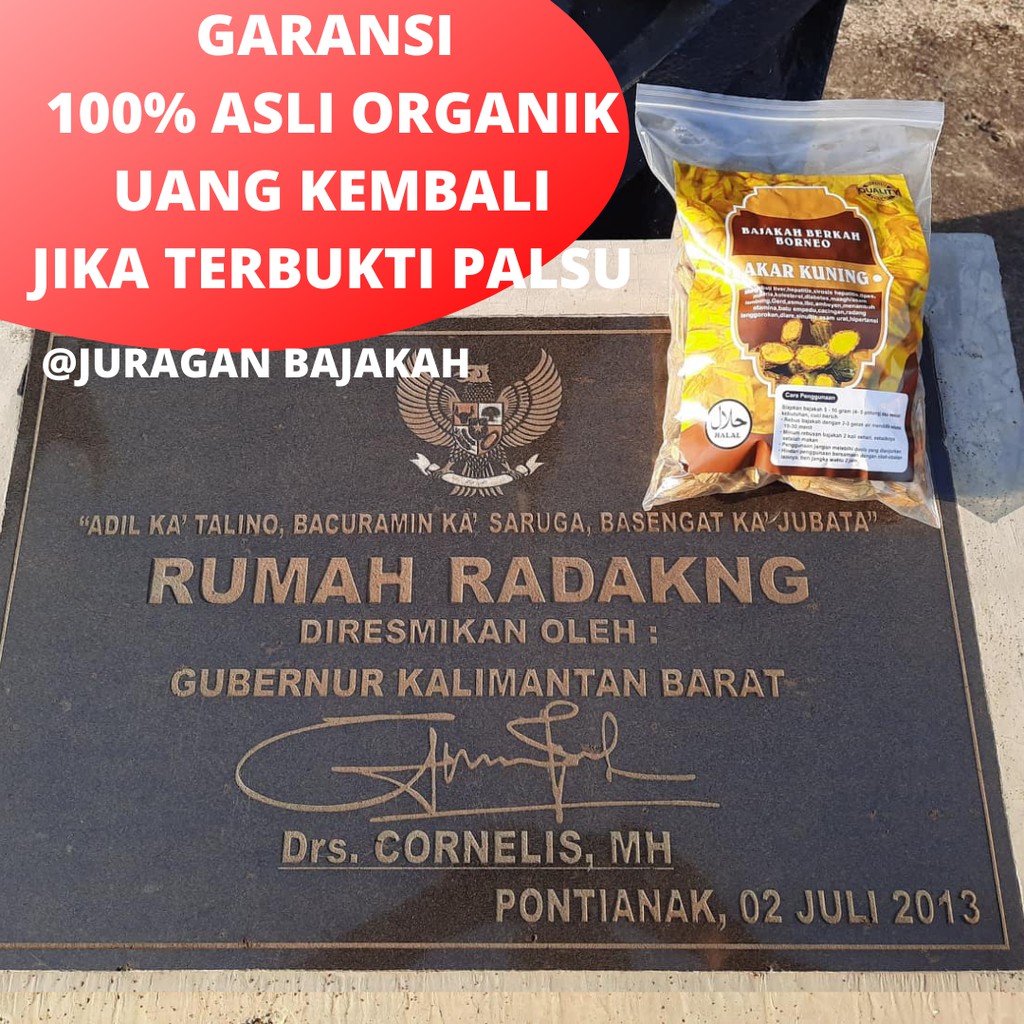 Akar Bajakah Kuning Super 1Kg Obat Herbal Diabetes, Asam Urat, Asam Lambung, Sakit Kuning-2