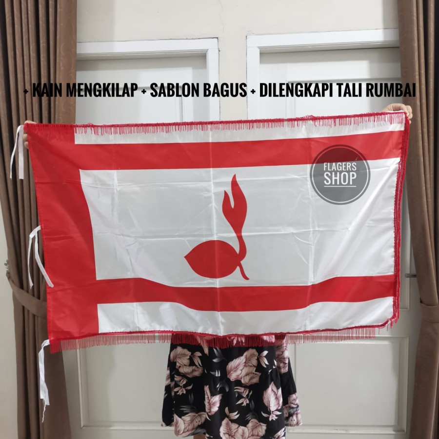 

Bendera Ruangan Tunas Kelapa Pramuka 80x120 cm - Ukuran Sedang