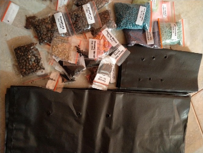 Insektisida Sistemik Furadan 3gr - Nematisida Pengendali Hama Tanaman Serangga, Cacing, Uret Dll