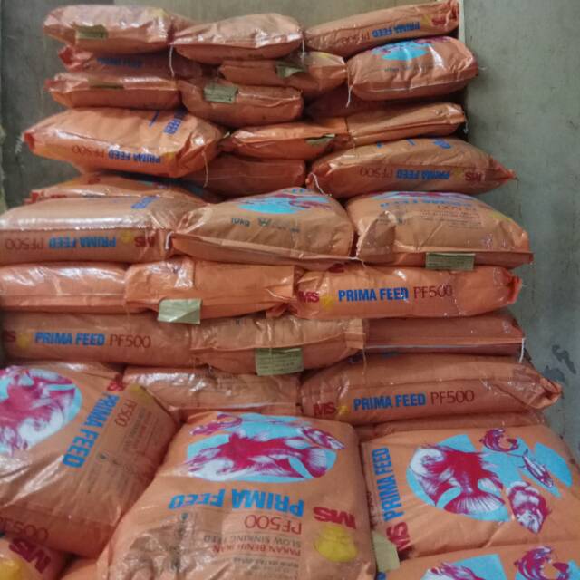 Pakan PF500 PF 500 murah 1 karung 10kg makanan ikan Guppy Molly Neon Tetra Platys Coral Platy Danio 