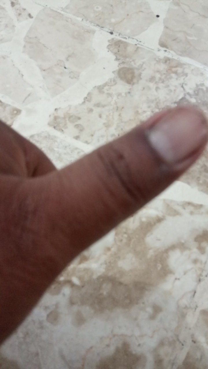 Rocia Obeng 5 - Minus Magnet Gagang Transparan Dimensi 2cm X 19,7cm