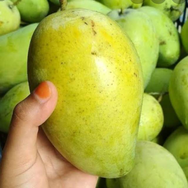 

Mangga mengkel garing 1kg