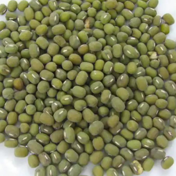 

Kacang Hijau/Lokal (Green Gram) 1000 Gram Dudung.Store