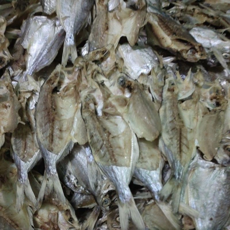 

ikan asin kapas2 olahan sendiri tanpa formalin enak dan gurih