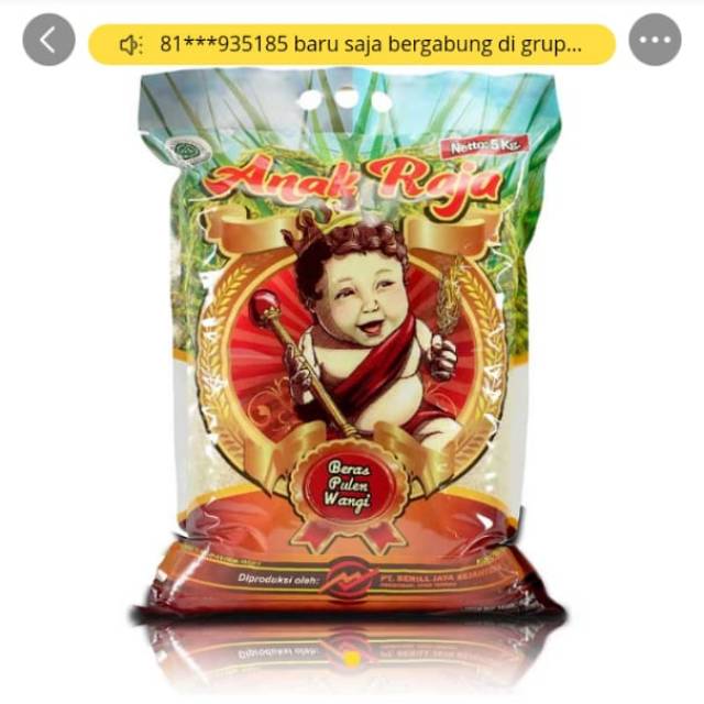 

Anak raja