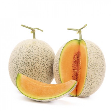 Benih melon RZ 34-903 Wakatobi - 100 benih repacking