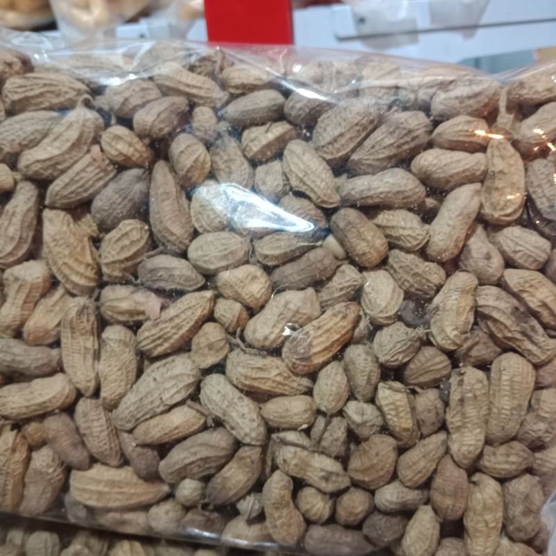 

Kacang Sangrai