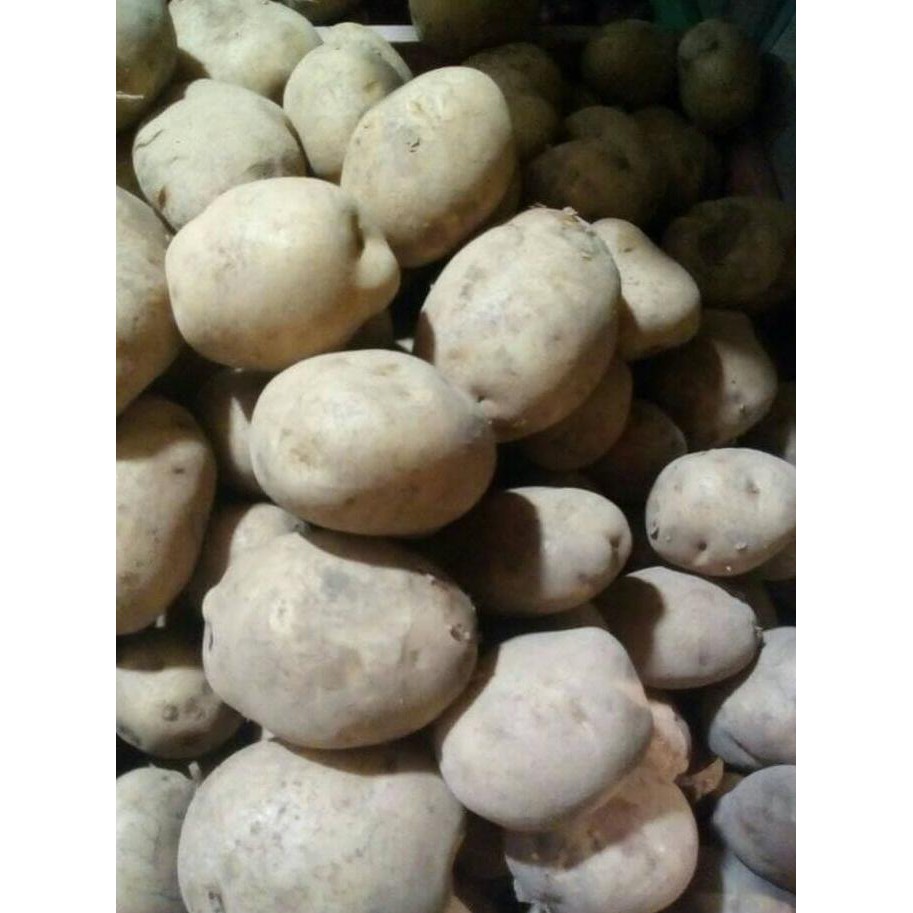 

As470Z Kentang Lokal 500 Gr Sazz