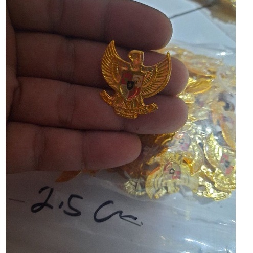 pin garuda