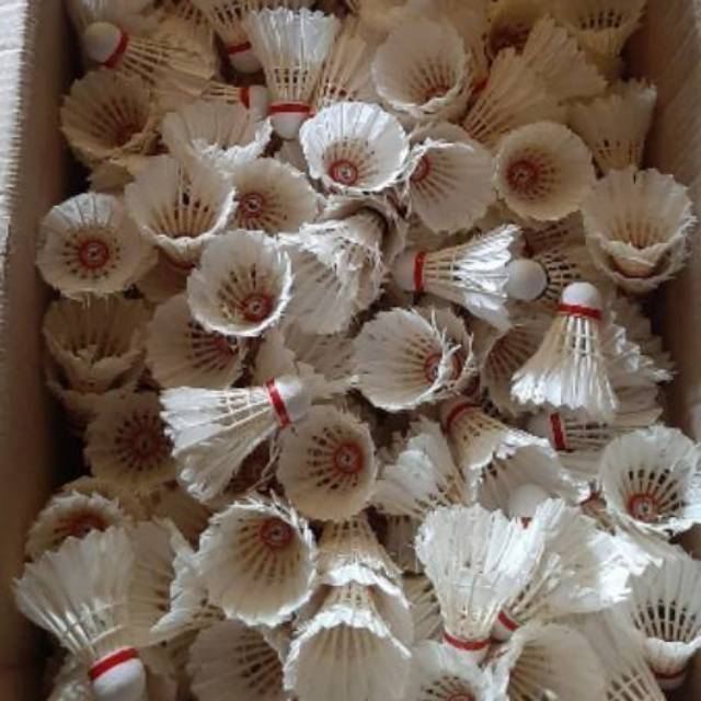 Kok Bekas COD untuk Drilling 12 pcs  kok Badminton