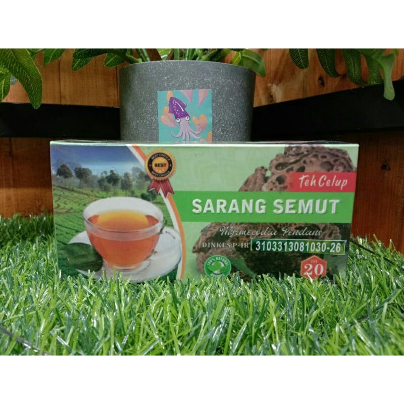 

TEH HERBAL TEH SARANG SEMUT
