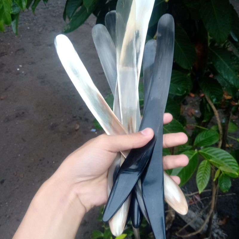 PISAU TANDUK SAPI KUPAS KELAPA MUDA