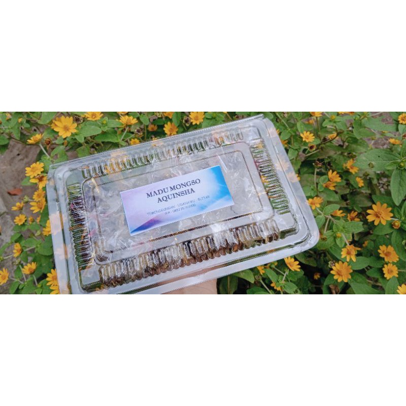 

Madu mongso AQUINSHA