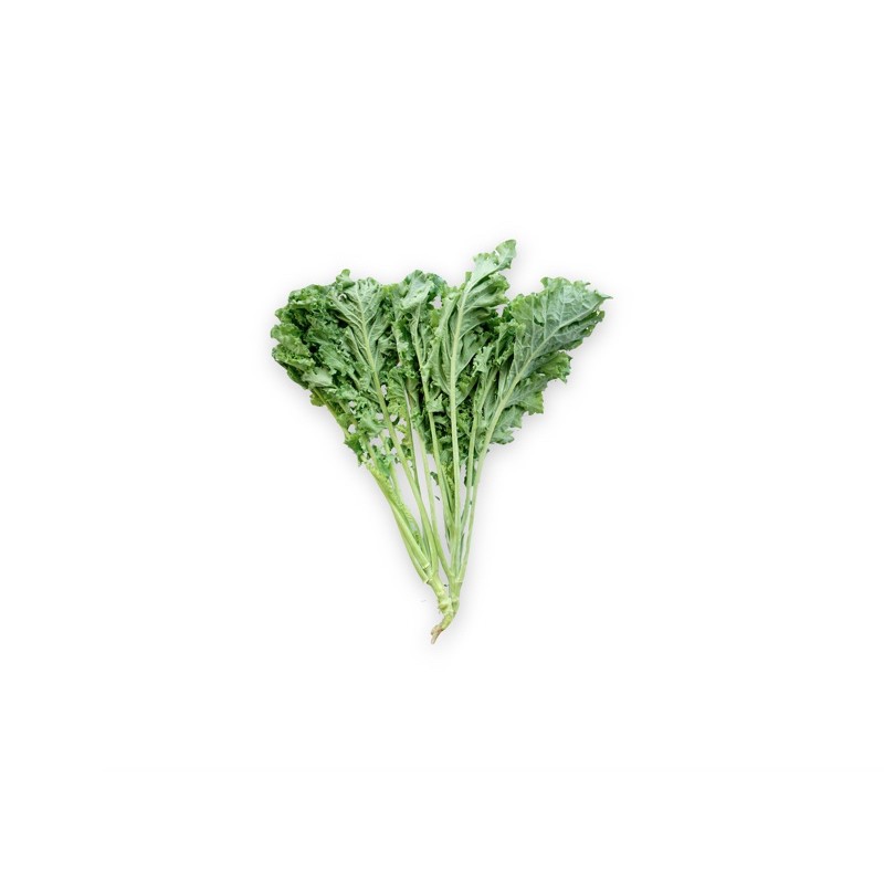 

SAYUR ORGANIK Kale
