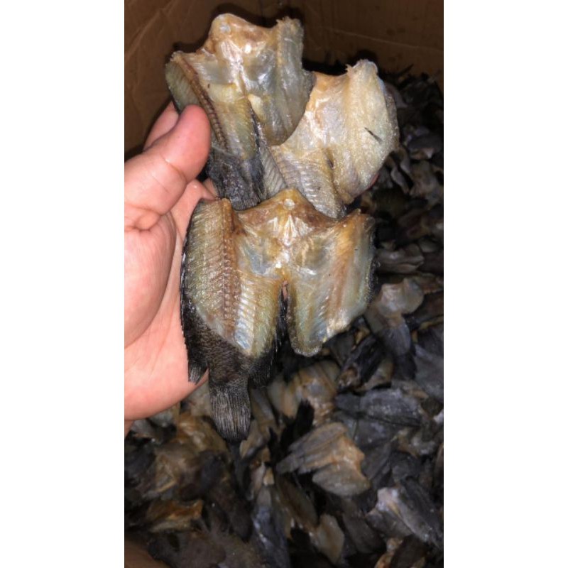 

garih papuyu 1 kg