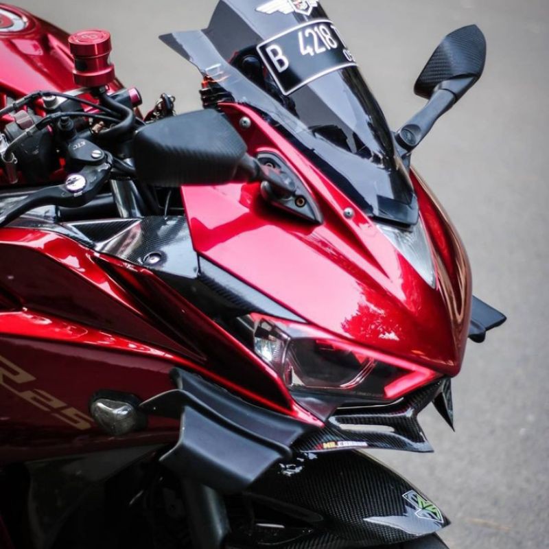 AERO FAIRING R25 AERO DUCATI WINGLET R25 WINGLET GP