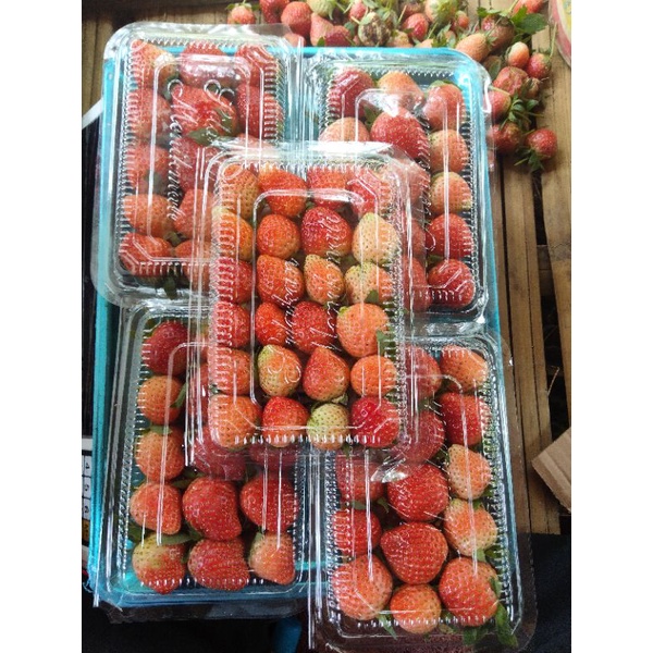 

Buah strawberry kiloan 1kg