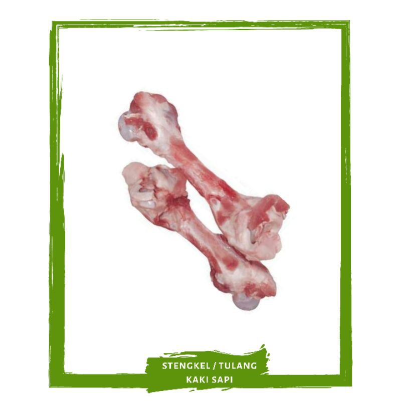 

Stengkel / Tulang Kaki Sapi / Daging Segar By Mallahrizwa