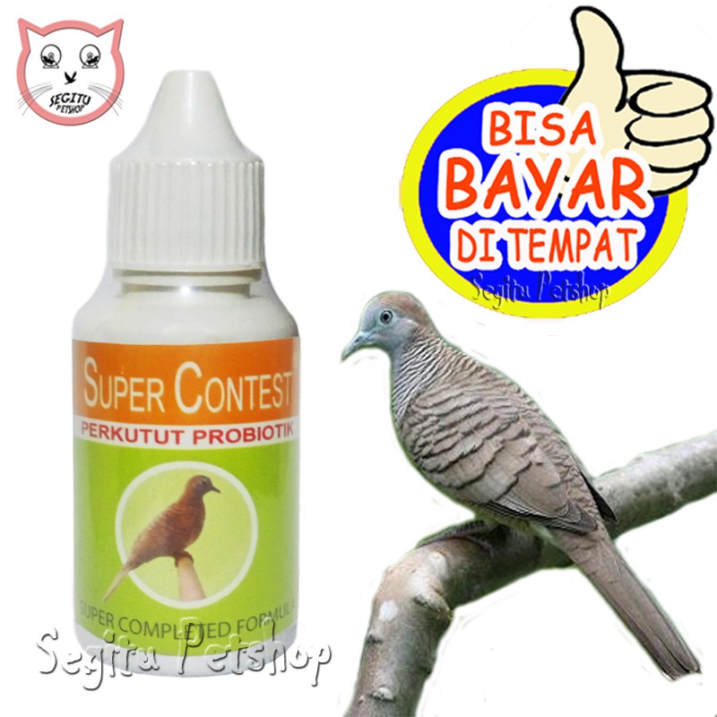 OBAT VITAMIN BURUNG PERKUTUT SUPER CONTEST | Shopee Indonesia