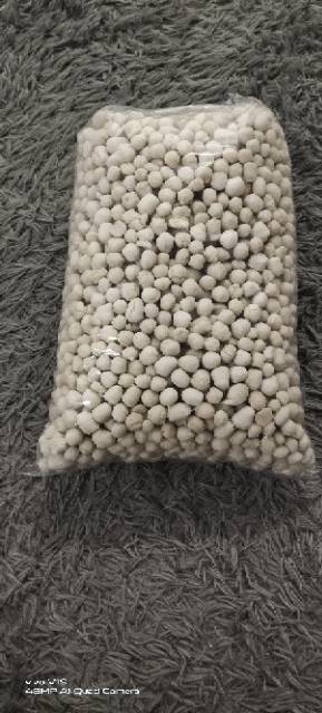 

Pilus kencur berat 1 kilo