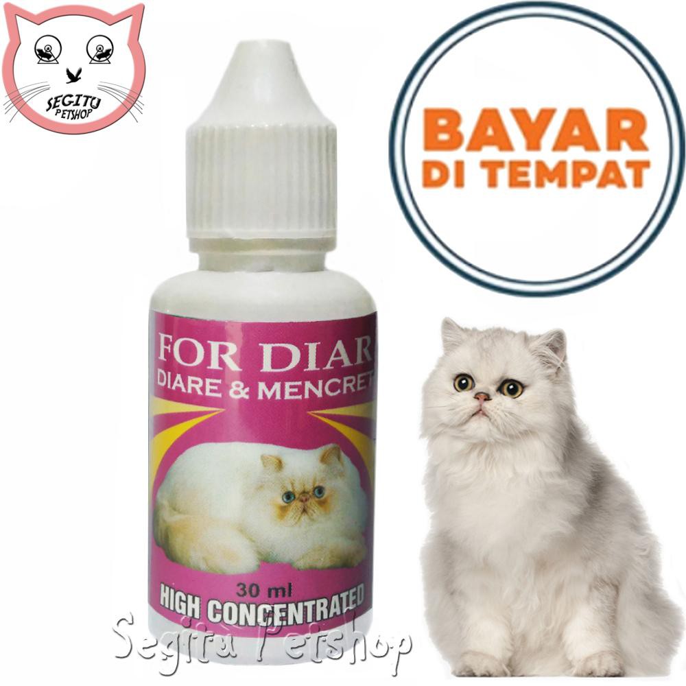 OBAT KUCING KITTEN ANDIAR ANTI DIARE SAKIT MENCRET