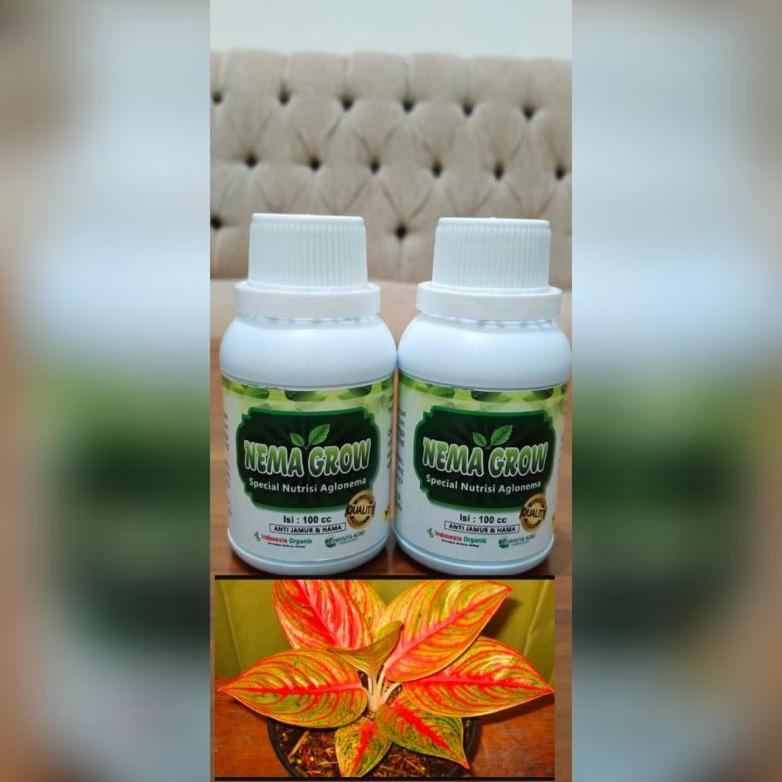 NEMA GROW NUTRISI VITAMIN AGLONEMA AGLO
