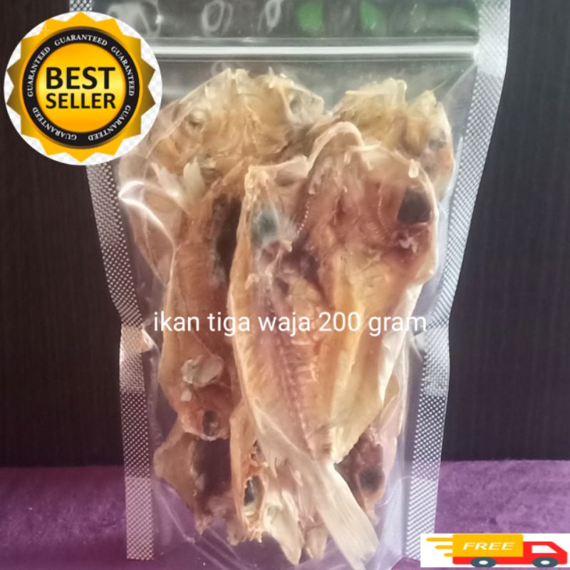 

TERLARIS IKAN ASIN IKAN TIGA WAJAH 200 GRAM (MENTAH)