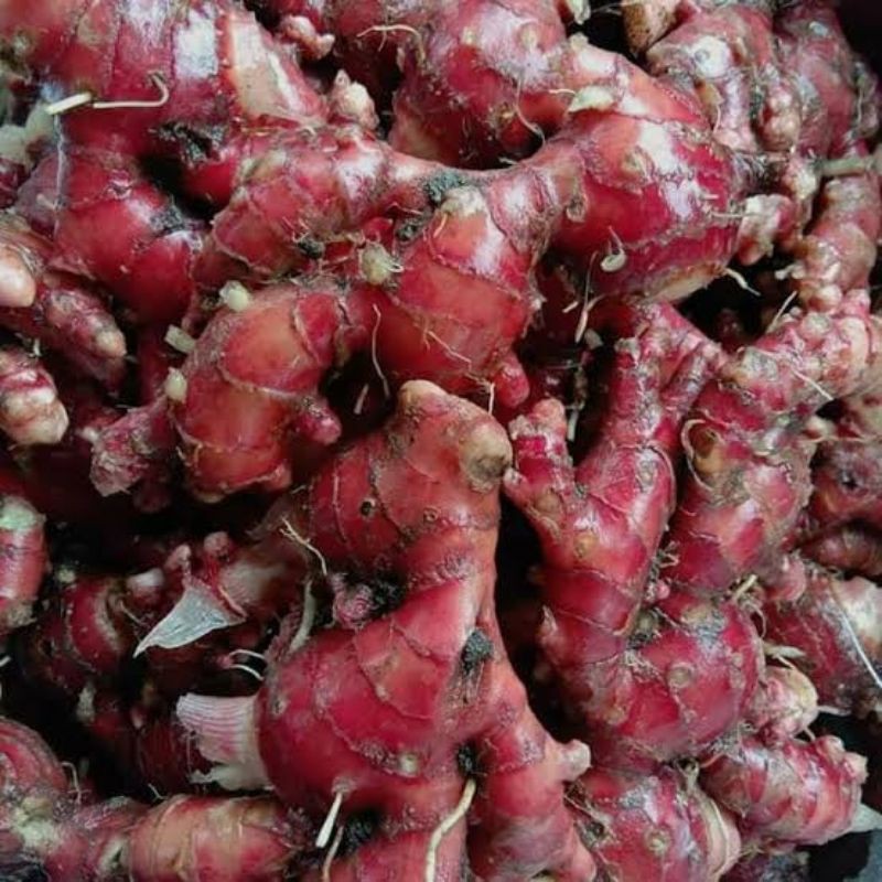 

Halia merah-Red Ginger premium @1000g