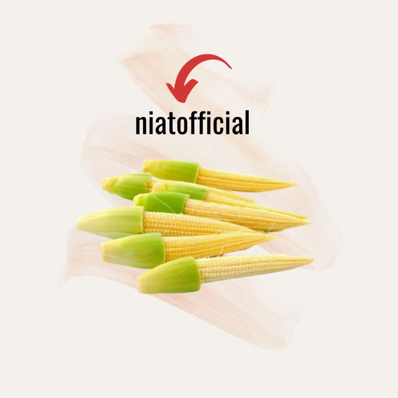 

Jagung Putren