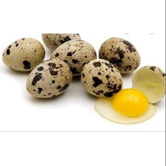 

IO Telor Puyuh / gr